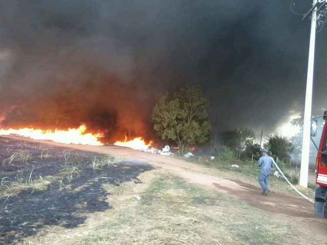 Grande incêndio na mata que beira a pista que liga Rio Claro a Ajapi - Grupo Rio Claro SP