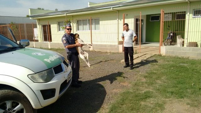 Cachorro é encontrado amarrado no Horto Florestal pela PMA - Grupo Rio Claro SP