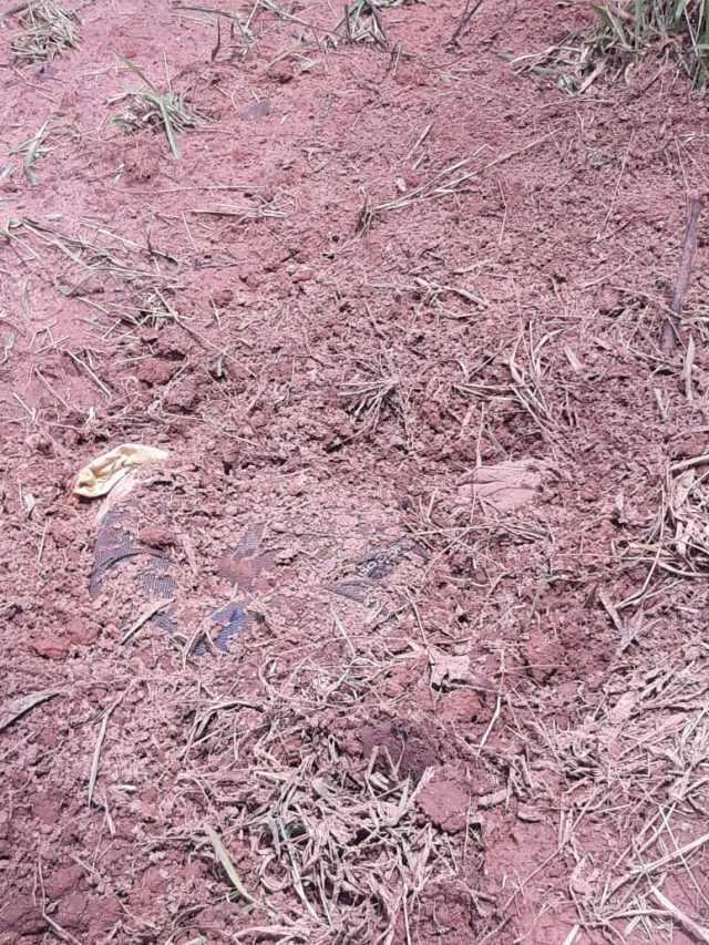 Corpo de homem é encontrado no Horto Florestal de Rio Claro - Grupo Rio Claro SP