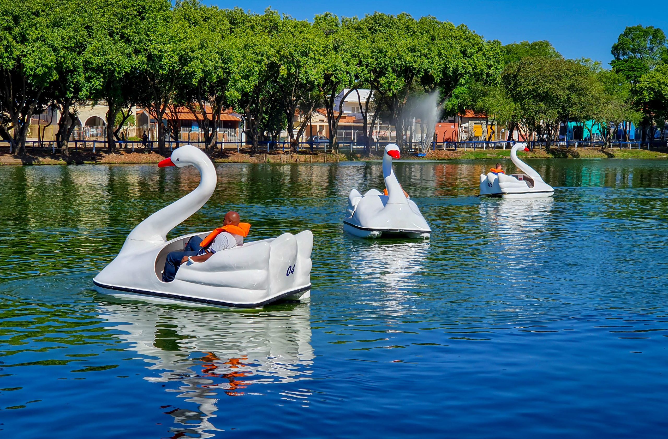 Passeios de pedalinho no Lago Azul voltam neste sábado das 10h às 16h -  Grupo Rio Claro SP