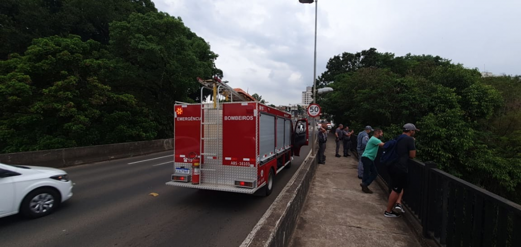 Bombeiro encontra "corpo de grávida" no Rio Piracicaba - Grupo Rio Claro SP Bombeiro encontra "corpo de grávida" no Rio Piracicaba - Grupo Rio Claro SP