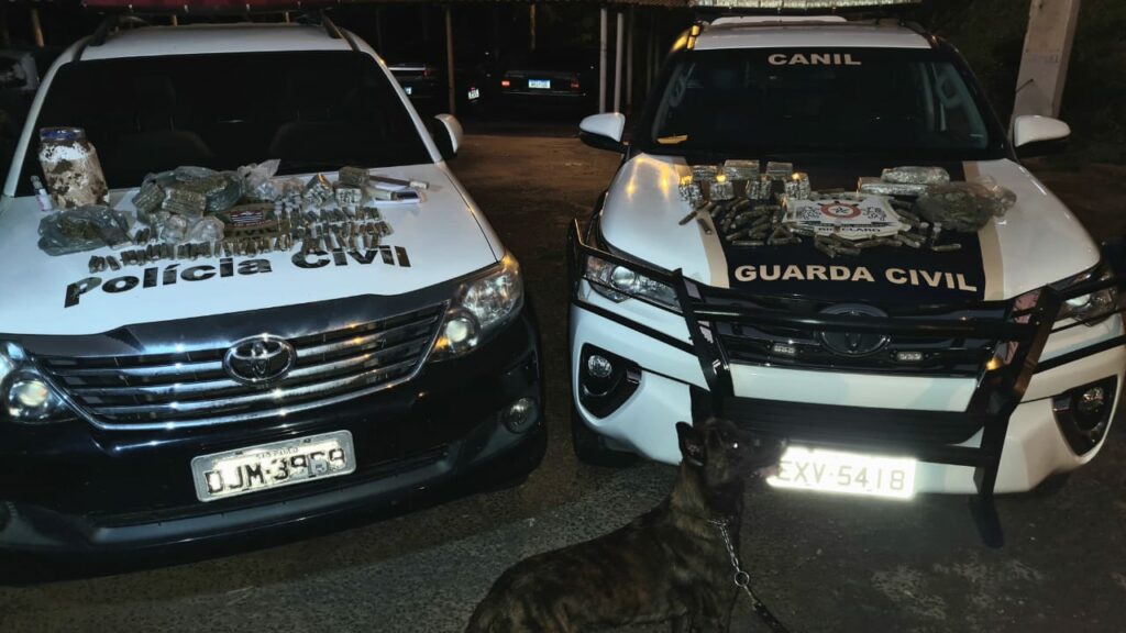 DISE deflagra “Operação Reditus” e desarticula pontos de venda de drogas em Rio Claro - Grupo Rio Claro SP DISE deflagra “Operação Reditus” e desarticula pontos de venda de drogas em Rio Claro - Grupo Rio Claro SP