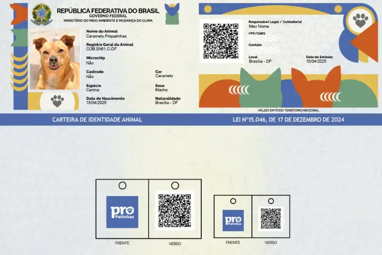 Governo lança RG Animal gratuito para cães e gatos com cadastro nacional online - Grupo Rio Claro SP